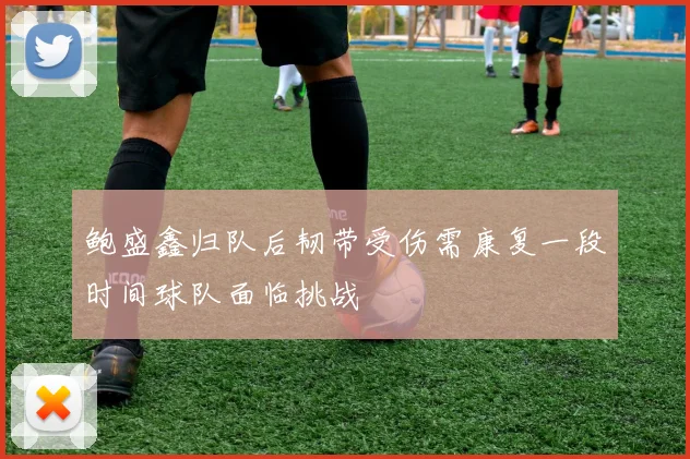 鲍盛鑫归队后韧带受伤需康复一段时间球队面临挑战