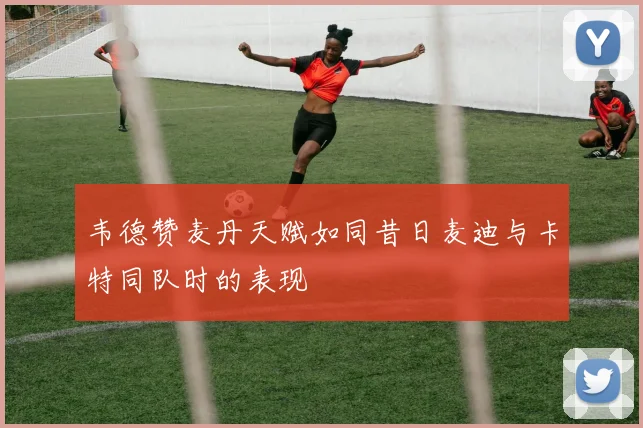 韦德赞麦丹天赋如同昔日麦迪与卡特同队时的表现