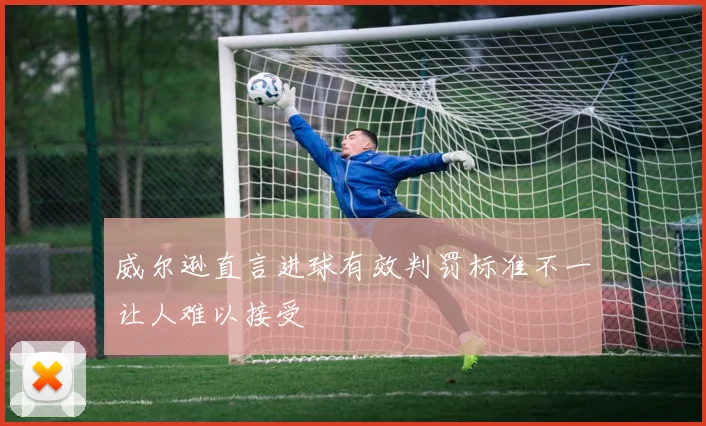 威尔逊直言进球有效判罚标准不一让人难以接受
